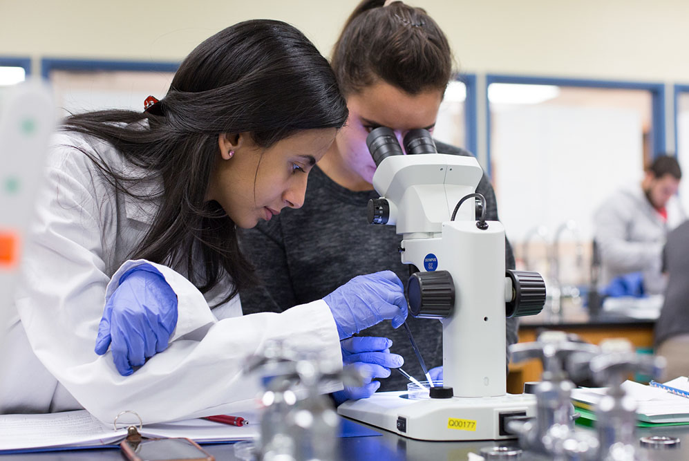 two female student in white lab coats looking through microscopes
